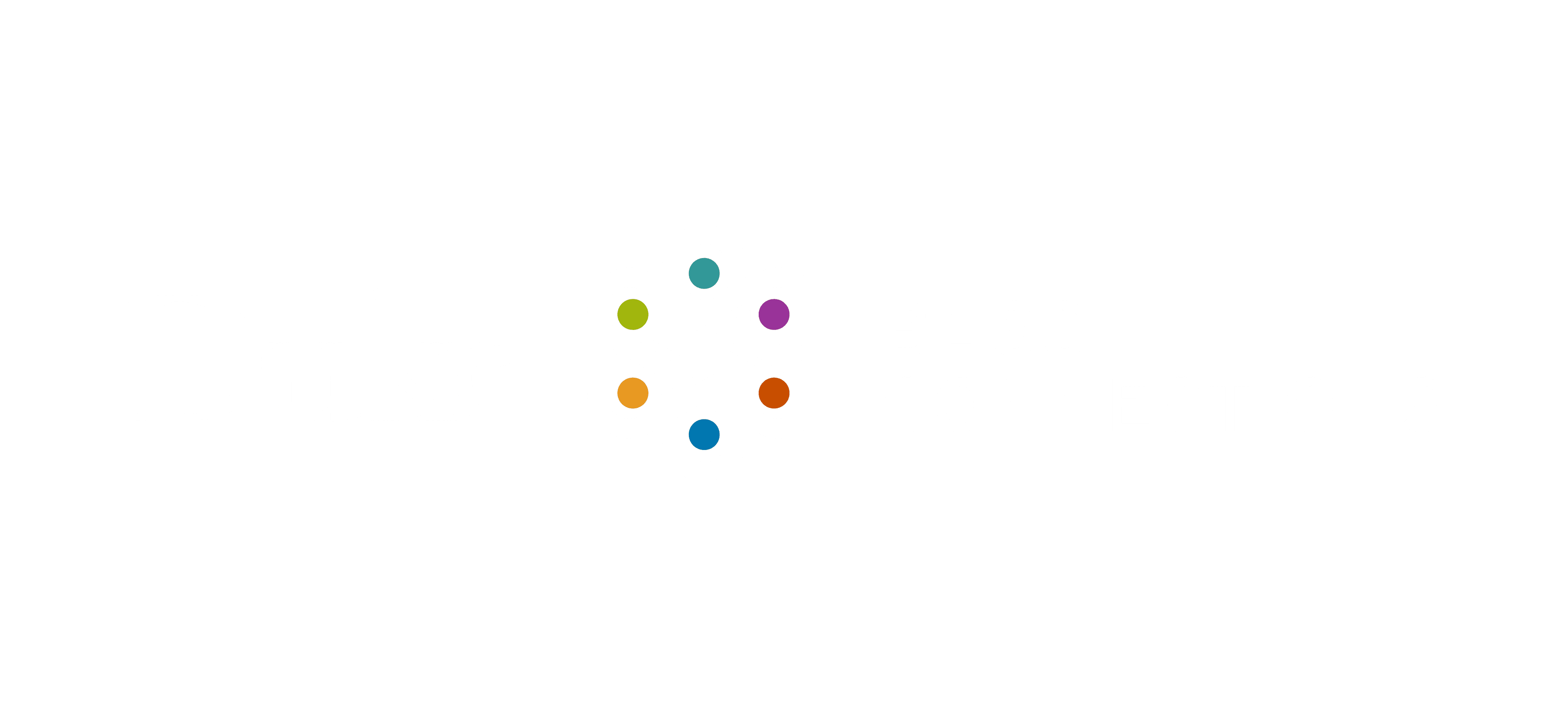 Bass Connections Logo